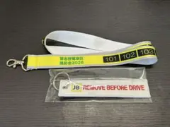 Item thumbnail for item e45e8377-44f8-4c32-b54d-591f30b6f77e