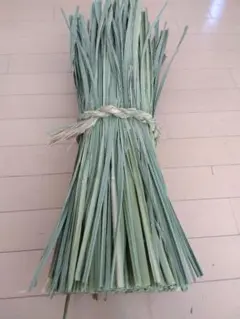 Item thumbnail for item 66f6ed2b-395c-44eb-909a-9eb7164189de