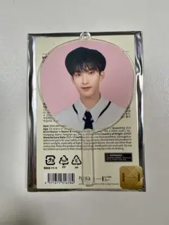 SEVENTEEN セブチ　ドギョム　ミニピケット　Holiday