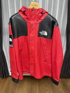 THE NORTH FACE supreme レザーマウンテンパーカー 赤 L