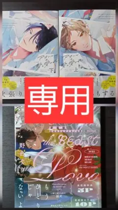 ミーちゃん Love様 リクエスト 2点 まとめ商品