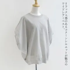 【美品】mizuiro ind ミズイロインド ワイドコクーンシアーベストのサムネイル