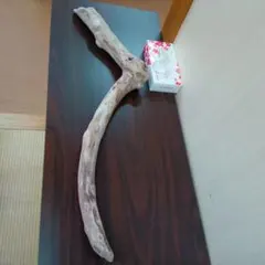 Item thumbnail for item f2dc92c3-c30e-4d7e-9e91-b1dd591f9690