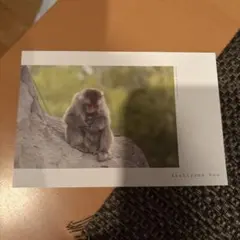 Item thumbnail for item 093a94cb-22e3-43a7-bc08-d0656c195cb2