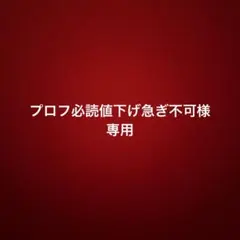 プロフ必読値下げ急ぎ不可様　専用　クリスマス2点セット