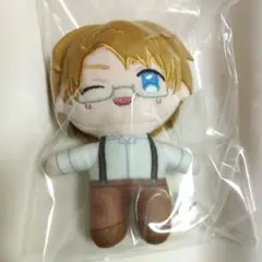 アメリカ ドールテイラーmini ヘタリア World☆Stars ぬいぐるみ