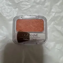 Item thumbnail for item 14257c6d-f10a-4efd-8b51-582a63652a7d