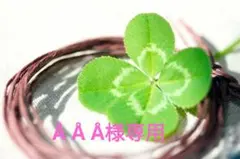 WAKODO 離乳食セット(箱なし）+4食追加