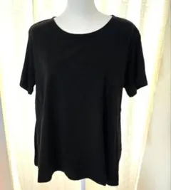 【264】フレアTシャツ 3L Ranan RyuRyuのサムネイル