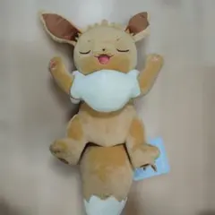 ポケモン もっちりぬいぐるみ おやすみイーブイ ポケモンスリープ タグ 台紙付き