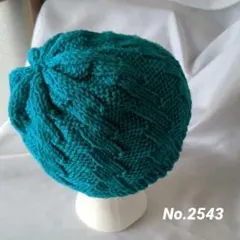 ハンドメイド ニット帽子 ニットキャップ 男女兼用 No2543　ターコイズ