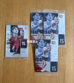バレーボール日本代表 甲斐優斗 ツインウエハース カード レア ノーマル