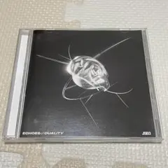 echoes of duality 三代目