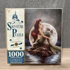 未開封品/希少☆眠れる森の美女オーロラ姫☆ディズニージグソーパズル
