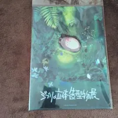 新品未使用品　限定　ジブリの立体造型物展 クリアファイル