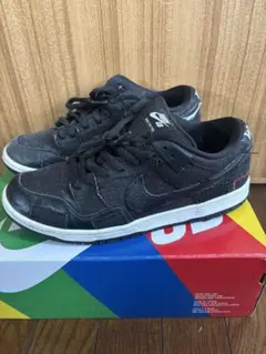 NIKE DUNK SB 