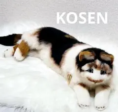 2026年最新】kosenぬいぐるみ 三毛猫の人気アイテム - メルカリ