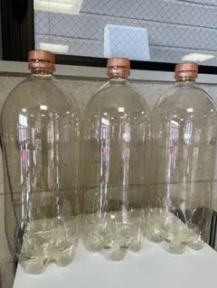 Item thumbnail for item f3f23411-af40-4776-9ab7-842cfd1b01fb