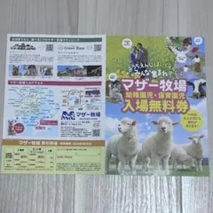 マザー牧場　幼稚園児・保育園児入場無料券　大人割引券