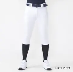 ティゴラ メンズ 野球 練習用パンツ タフパン　M ショートフィット