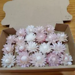 Item thumbnail for item 0dfc4ec8-b126-452f-adf7-43dcf0690e4b