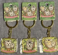 激レア】ちいかわ オーストラリア ご当地 キーホルダー コアラセット 