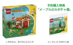 Item thumbnail for item 67908e66-f1db-4622-9add-ddb1d40a6fb4