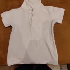 ポロシャツ　白　半袖　110