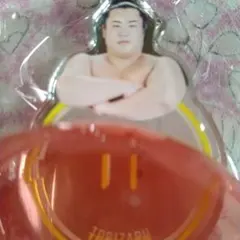 翔猿　9月場所　NEW! ミラーキーホルダー