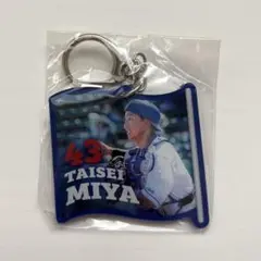 中日ドラゴンズ 味谷大誠選手 ダイカットキーホルダー