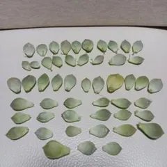 のあ様 リクエスト 2点 まとめ商品