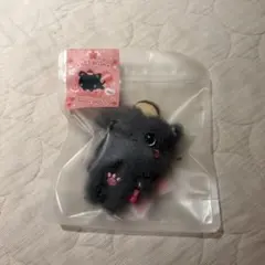 NCT WISH POCKET WISH DOLL リク クリ ぬいぐるみ - メルカリ