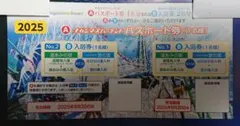 ゆー様専用です。 ナカシマスパーランド パスポート1枚