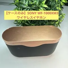 【ケースのみ】SONY WF-1000XM3 ワイヤレスイヤホン
