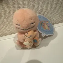 マスコット Little Daydream ヒトカゲとリザードンぬいぐるみ