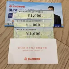 ビックカメラ　株主優待　お買物優待券　3000円分