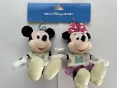 ディズニー なかよしクラブ　ミッキー ミニー ぬいぐるみバッジ　キーホルダー