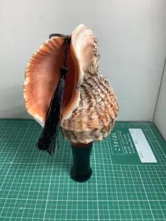 Item thumbnail for item 741e6ddb-8802-44dc-a0f3-87f2ec0436e5