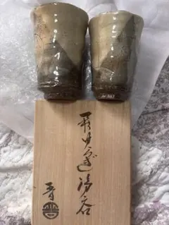 Item thumbnail for item 40f651a9-fe64-4b29-a8ab-7148ac0108f2