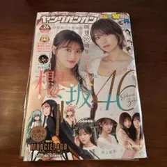 Item thumbnail for item 8843047e-a156-44fb-b77f-75162f26470d