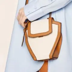 CHARLES&KEITH キャンバストラペーズ トップハンドルバッグ