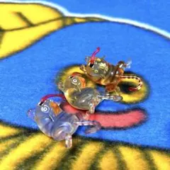 ドラゴンクエストクリスタルモンスターズ　プリズニャンセット