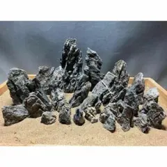 ADA 龍王石 15個セット - メルカリ