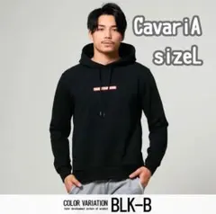 Item thumbnail for item e51c988c-716b-4470-bd3d-40ff90914087