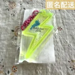 フェストイナズマ 会場限定 琵琶湖キーホルダー イエロー×チェーン濃いピンク