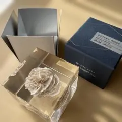 ウサギノネドコ　ソラキューブ　sola cube 砂漠の薔薇