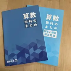 Item thumbnail for item 3bb490d8-2f12-4399-a4bb-48c4ee923657