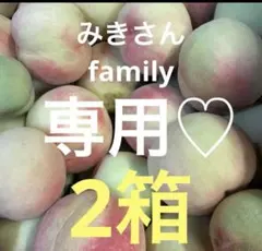 17.若桃 摘果桃 加工 桃 山梨県産 約3kg - メルカリ