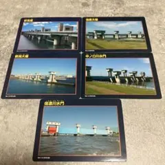 Item thumbnail for item 479c158e-0865-41b7-a1c5-9c2a03439dd6