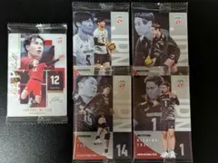 バレーボール日本代表 ウエハース カード 2026　5枚セット